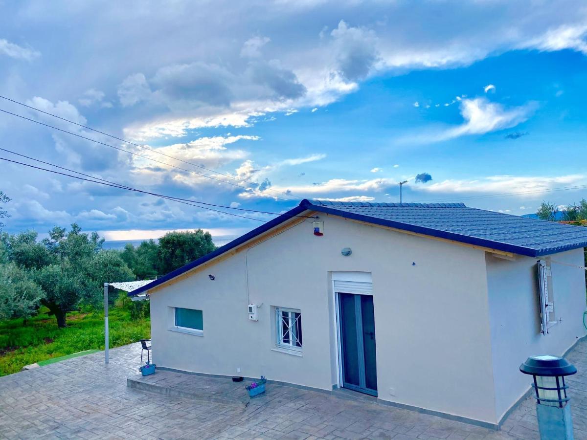 Riqionian House