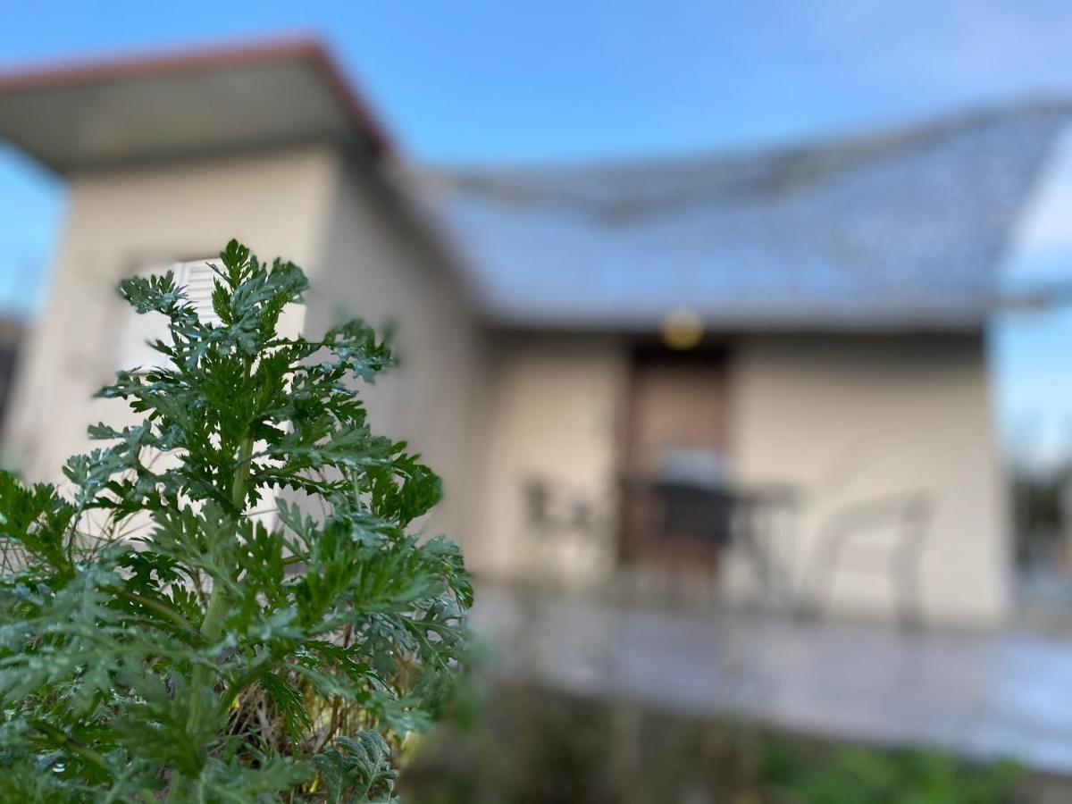 Riqionian House * Vromonerion